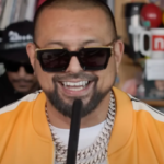 Sean Paul Net Worth